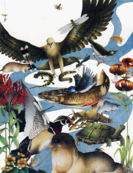 biodiversity.jpg