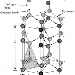 Schulson-9902.fig.1.lg