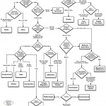 Alt Med Flowchart2_pt