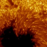 sunspot_sst_2054