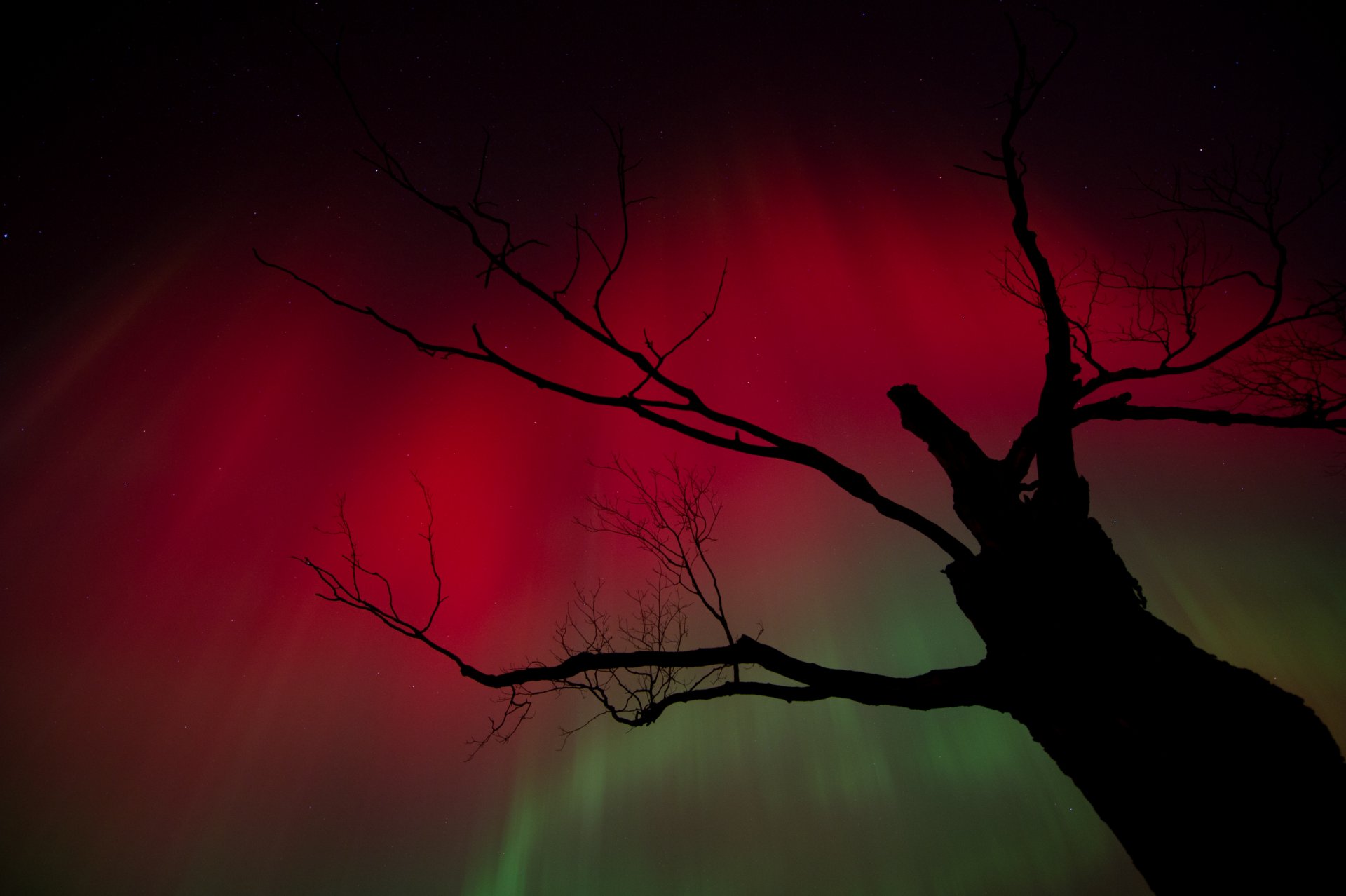 Aurora Ontario