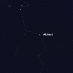 hydra-alphard