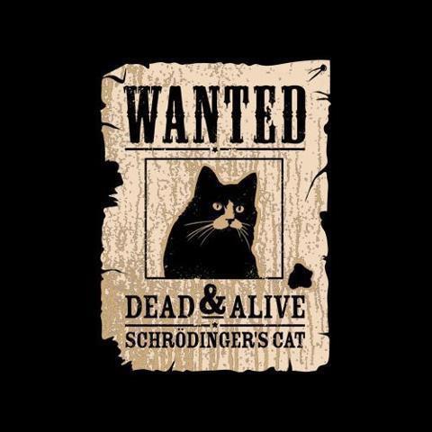 schrodinger cat