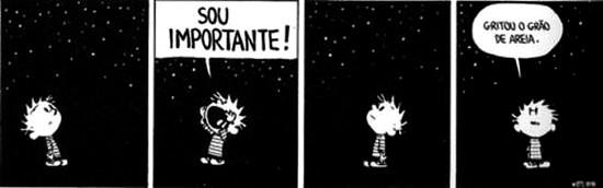 Calvin 3