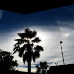 halos_Troia_061012