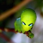 alien