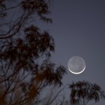 CrescentMoon_6044-Feijo-net