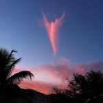anjo