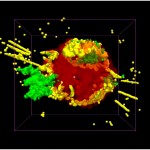 Cas A SNR: visualização tridimensional da distribuição do material ejectado, construída por T. Delaney usando um mapeamento Doppler com mudança de dados multivariada: verde é o raio-X emissor de Ferro; amarelo é raio-X, óptico e infravermelho emissor de Árgon e de Silício; vermelho é emissor infravermelho material ejetado que não chocou com outros materiais, o ponto cor-de-rosa representa o objecto compacto. (Crédito:.. NASA / CXC / MIT / T Delaney et al).