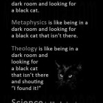 black cat